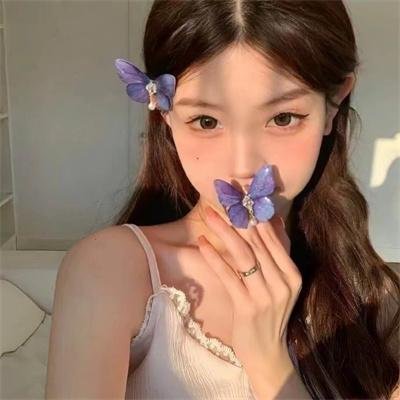 芝加哥烈焰第十二季